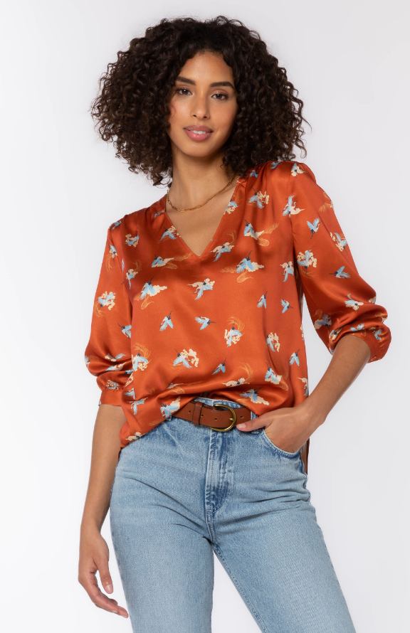Robyn Blouse in Rust Blue Cranes