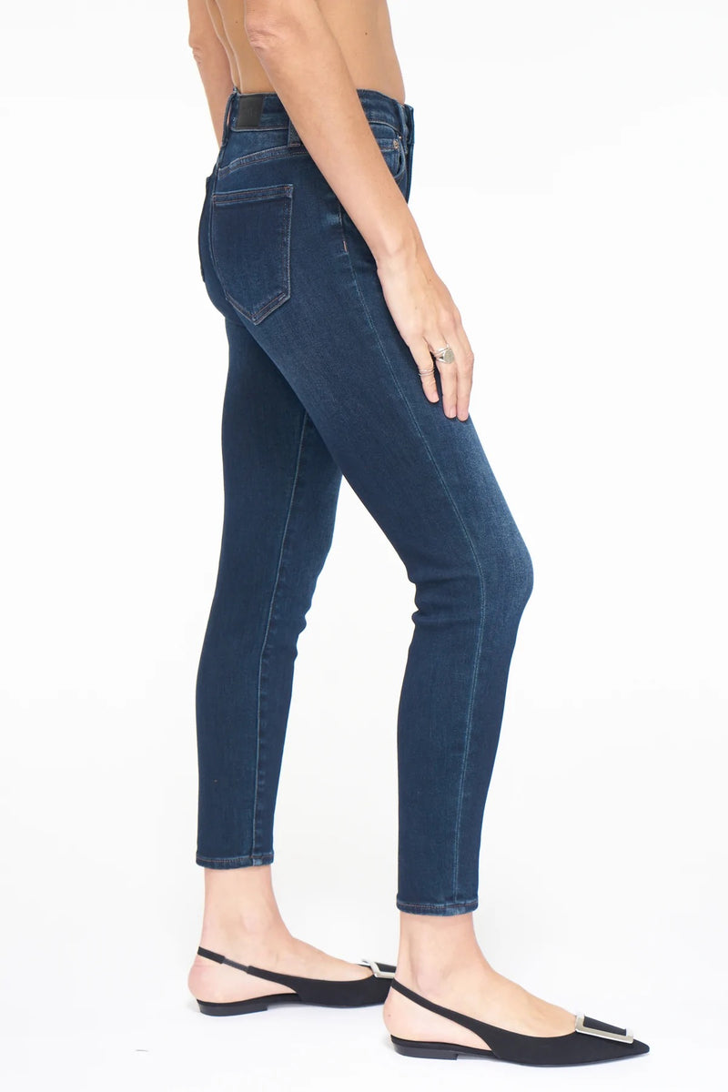 Audrey Mid Rise Skinny in Liberty